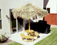 Palm Palapa