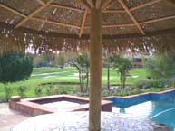 Custom Palm Palapa