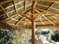 Palm Palapa