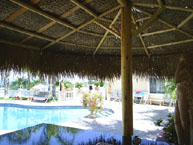 Two Pole Palm Palapa